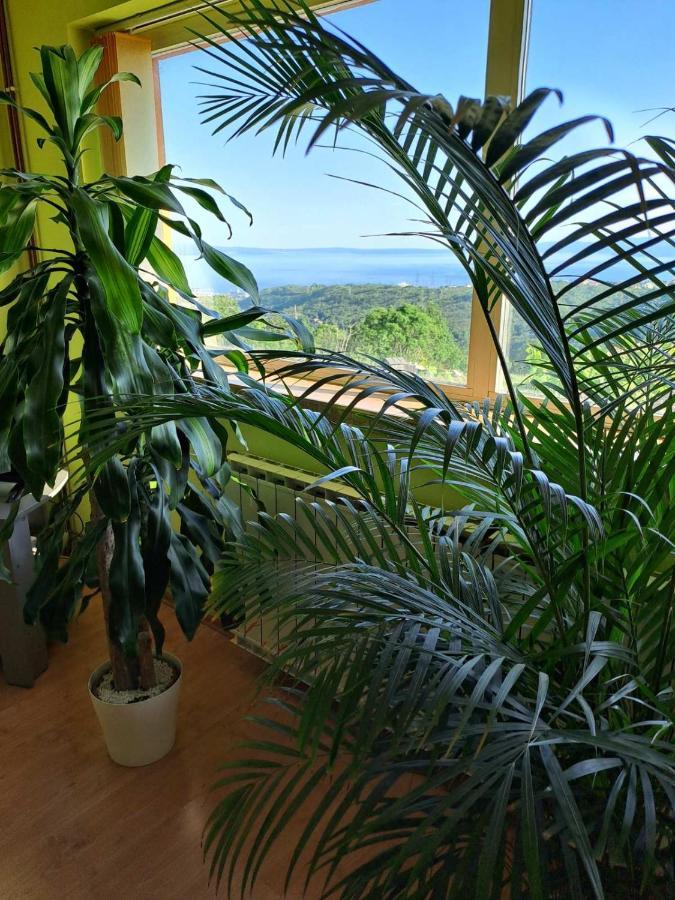Kuca Za Odmor Vista Mare Villa Marinici  Buitenkant foto
